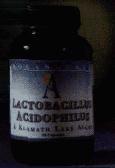 LactoBacillus Acidophilus